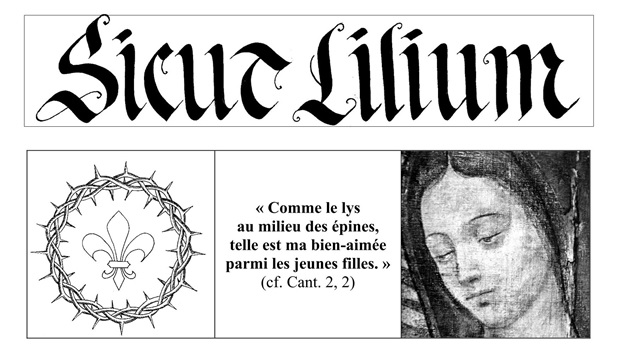 image représentant l'article Sicut Lilium n°3